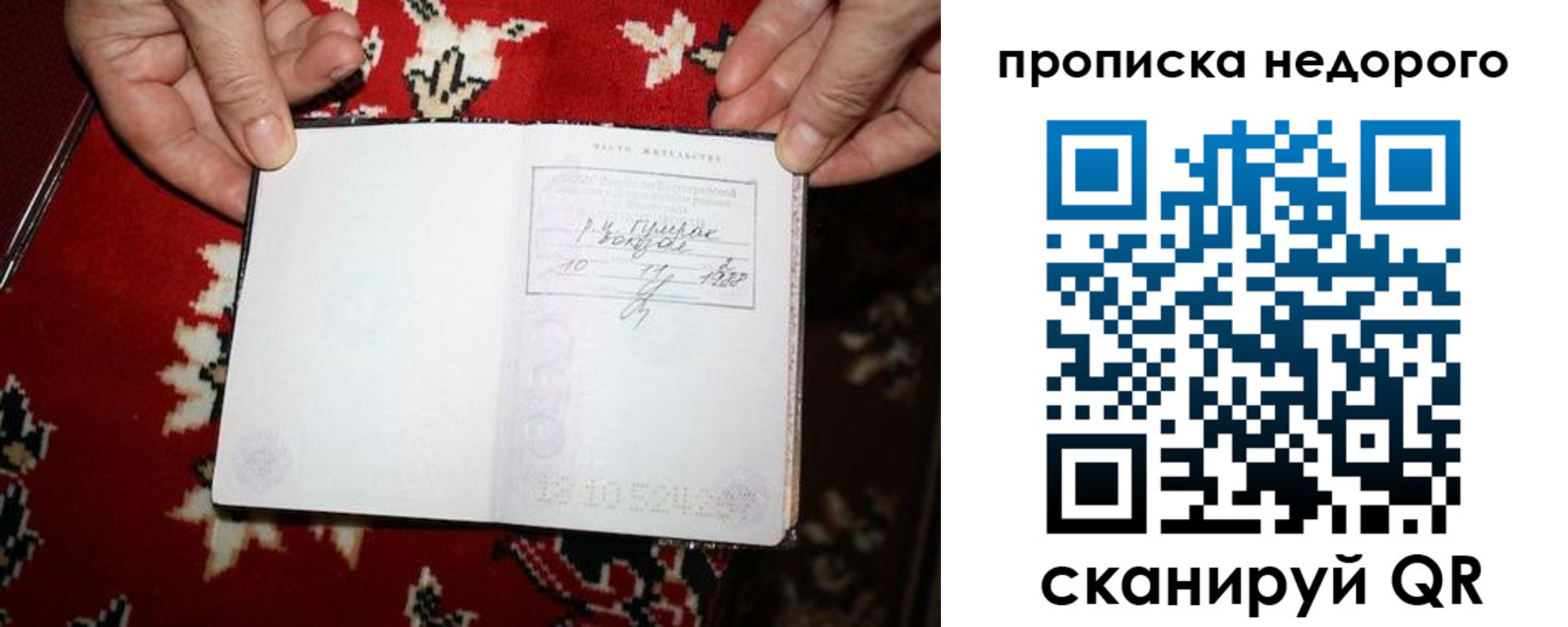 прописка гарантия в Бийске